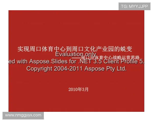 全方位解析现代竞技赛事的多维度发展与观众体验提升路径
