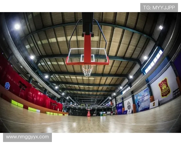 聚焦篮球明星职业生涯与场内场外影响力全景式深度观察报道深度篇