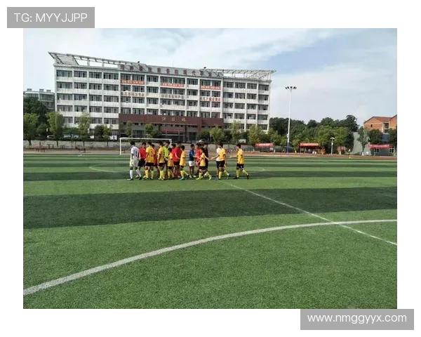 岳阳队足球崛起之路:从草根到职业的奋斗与突破