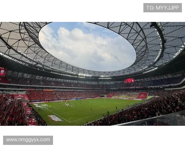 成都排球队实力引发热议球迷对队伍表现和战术选择展开激烈讨论