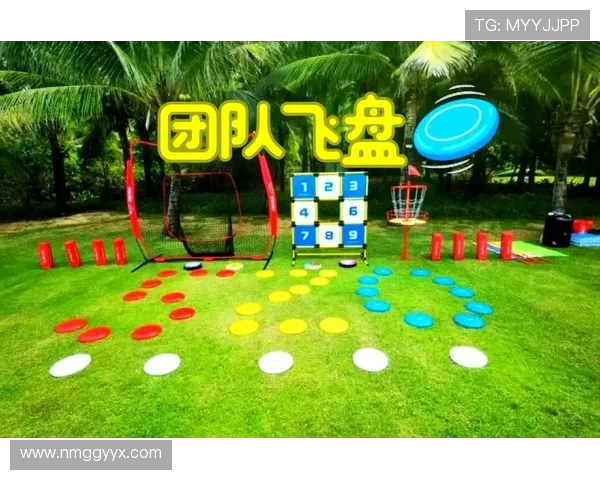 武汉飞盘队引领潮流最新飞盘配合TOP10揭晓精彩瞬间