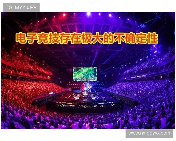 深入探讨杭州羽毛球队各队员实力差异及其对比赛的影响分析 深入探讨杭州羽毛球队各队员实力差异及其对比赛的影响分析