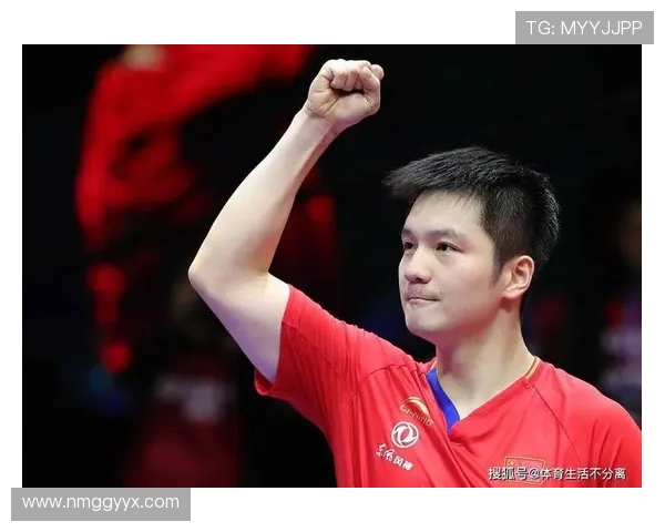 西安乒乓球队引领最新乒乓球节奏TOP10榜单风潮